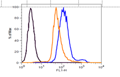 Metabolism Assays